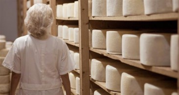 Naxos: The King of Cheese