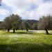 Naxos island on New York Times: “Peeling Back the Layers of Naxos, Greece” by Jennifer Gilmore