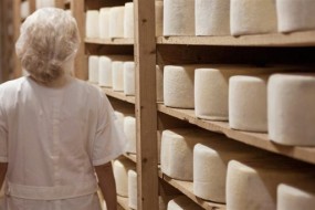 Naxos: The King of Cheese