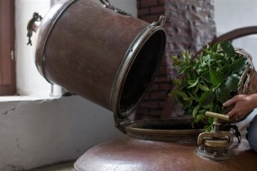 Wine & Spirits: Intro to Kitro